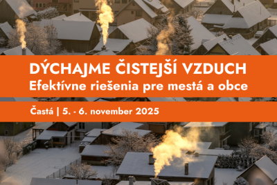 pohľad na strechy a komíny