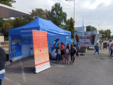 populair stand