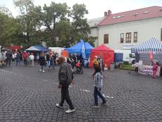 Event with visitors