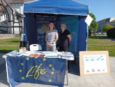 Info point at the venue