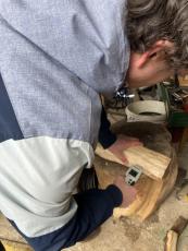 Measuring wood quality with moisture meter