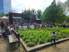 Bratislava City Days