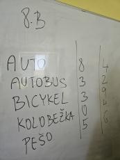 Anketa