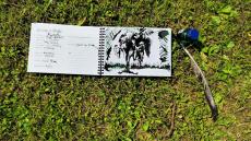 Land, trees and us