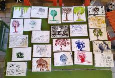 Land, trees and us