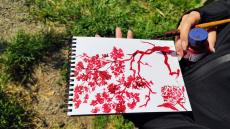Land, trees and us