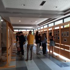 Exhibition