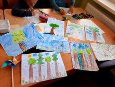 Accompanying activities