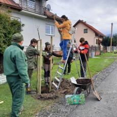 Tree planting in Dúbrava