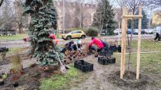 Tree planting in Banská Bystrica