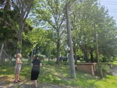 Sensor Network – On-site Inspections in the Trnava Region