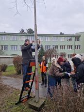 Osádzanie vzrokovača